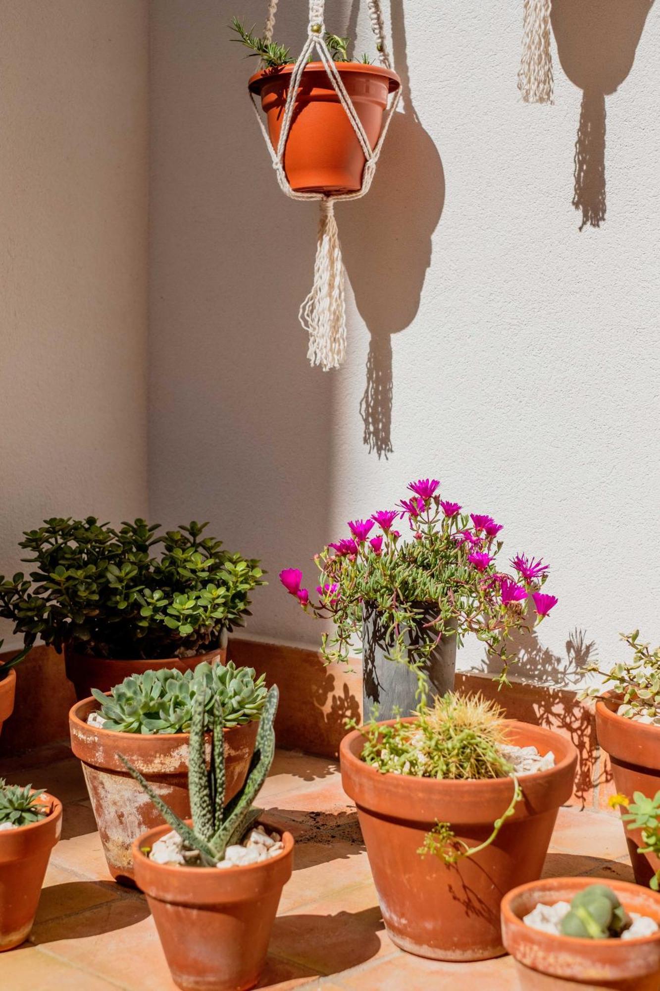 Casa Creativa Лагос Екстериор снимка